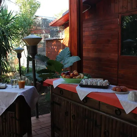 Bed & Breakfast Solacium