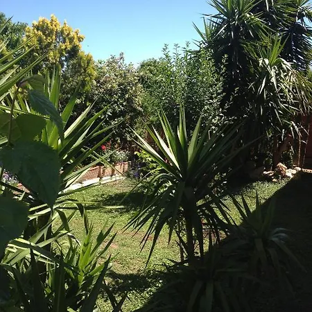 Solacium Bed & Breakfast 4*