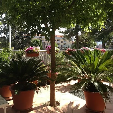 Solacium Bed & Breakfast 4*
